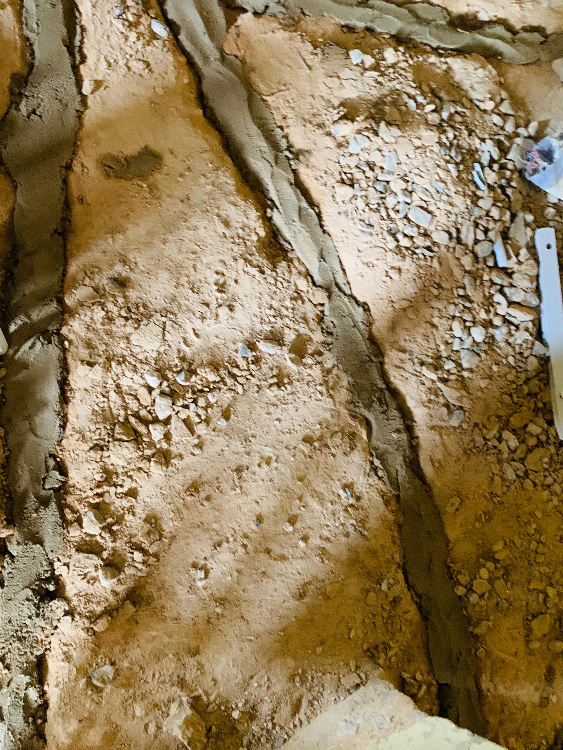 WhatsApp Image 2025-12-15 at 6.41.19 AM (1)