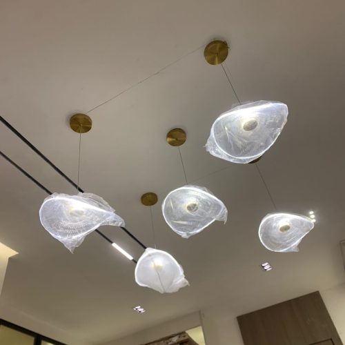 WhatsApp Image 2025-12-15 at 5.18.44 AM